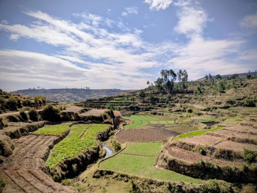 Paysage rural avec des champs en terrasses et un ciel nuageux.